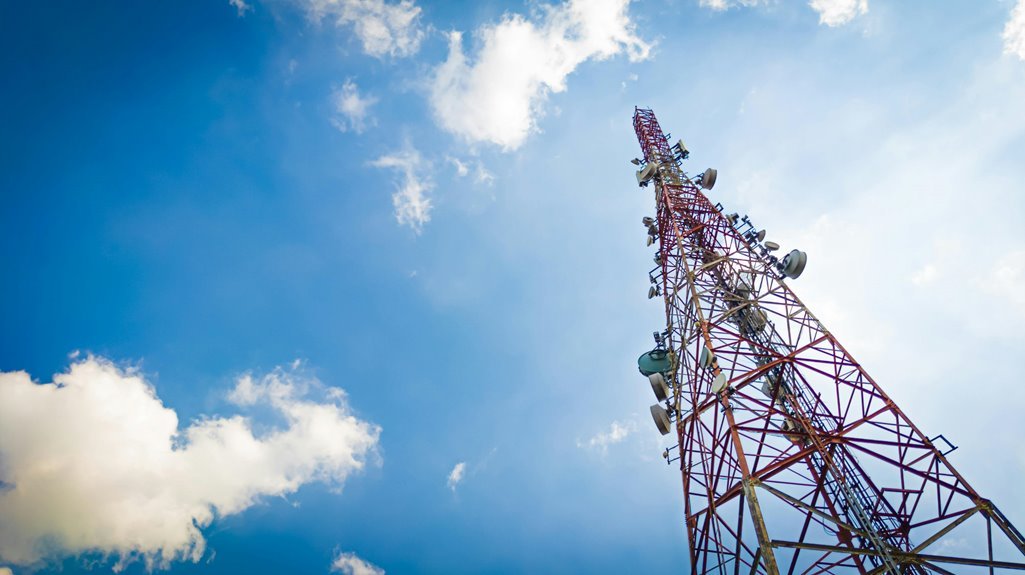 telecommunication risk mitigation contacts