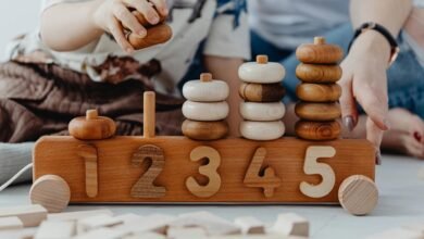 high impact development assessment report